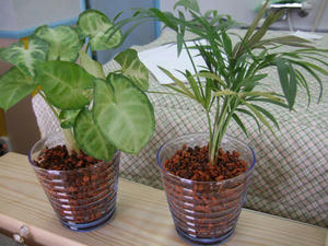 DSCF1090.jpg