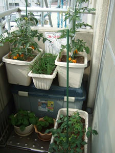 DSCF2160.jpg