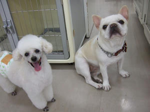 DSCF1541.jpg