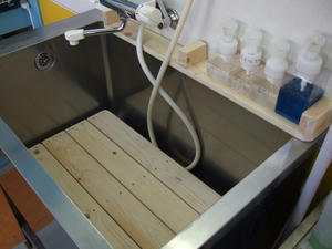 DSCF2127.jpg