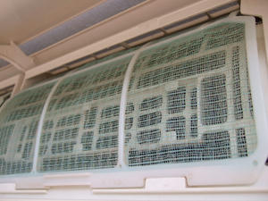 DSCF2576.JPG