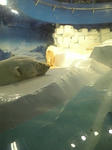 DVC00001.JPG
