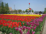 1261a2b3.jpg