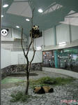 cfcc4461.jpg
