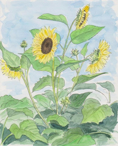 7b5f9040.jpg