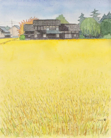 e6592908.jpg