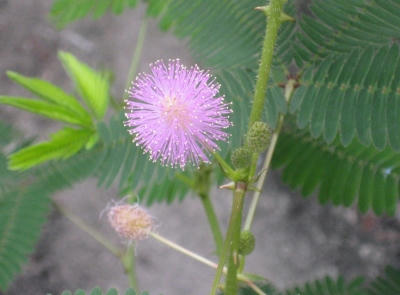 s-IMG_9084.jpg