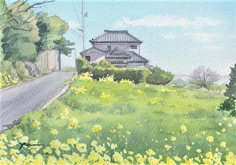 菜の花咲く風景 やっぱり 水彩画