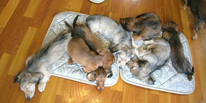 020630-s.jpg