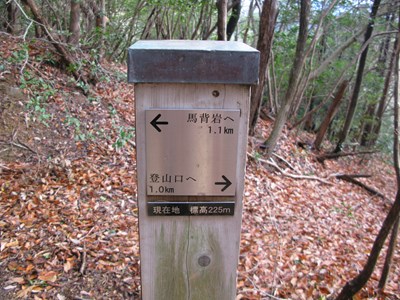 標高225mの標識