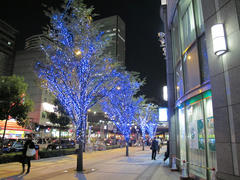 091126_umeda_f28_1_25_800.JPG