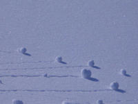 pics-06.jpg