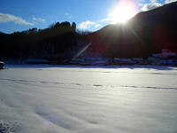 37d3a740.JPG