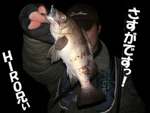 釣り　メバル　ＨＩＲＯ兄ぃ