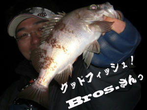 釣り　メバル　Bros.さん