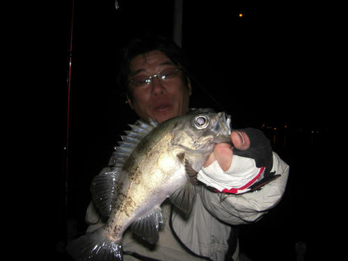 釣り　メバリング　とびしま