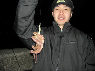 釣り　釣果　タコ