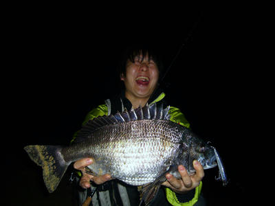 釣果　黒鯛　チヌ