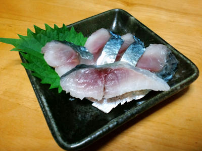 広島 アジング　しめ鯖