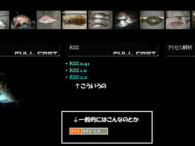 カバ造 アジング アジ