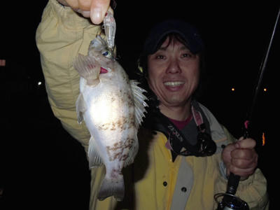 広島 メバリング メバル