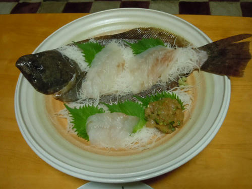 ヒラメ 広島　釣り