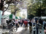 fureai-03.jpg