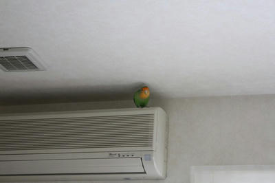 aircon2.jpg