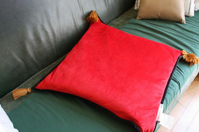 red_cussion.jpg