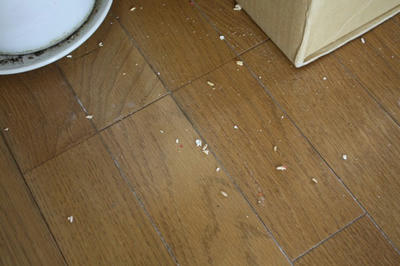 dirty_floor.jpg