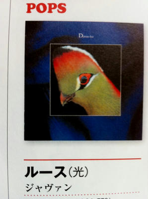 luz_book.jpg