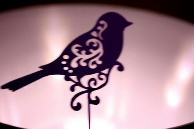 shadow_bird.jpg