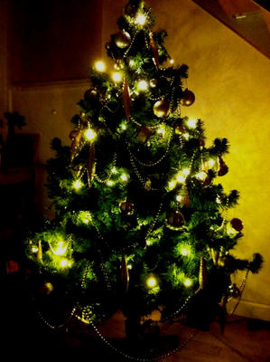 cristmastree2011.jpg