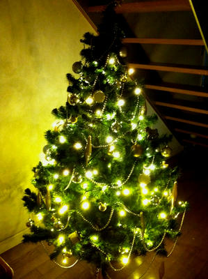 x_tree2012.jpg