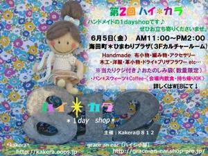 ハイ＊カラ チラシ