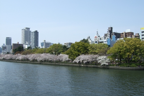 2013年南天満公園その1