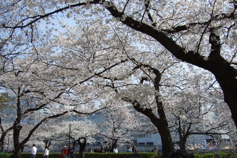 2013年南天満公園その3