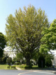 988459a3.jpg