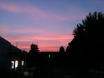 0785f314.jpg