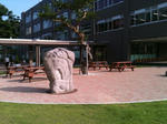 c7e455a8.jpg
