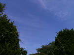 01d44263.jpg
