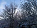 52b59e63.JPG