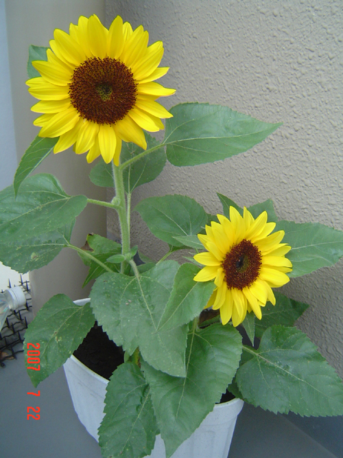 DSC00030.JPG