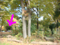 DSC02001.JPG
