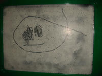 DSC02012.JPG
