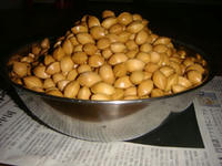 DSC02028.JPG