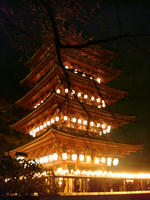 DSC02065.JPG