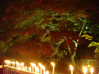 DSC02072.JPG