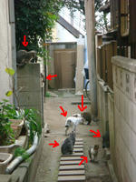 DSC02126.JPG