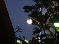 DSC02131.JPG